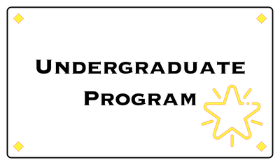 Undergraduate Program