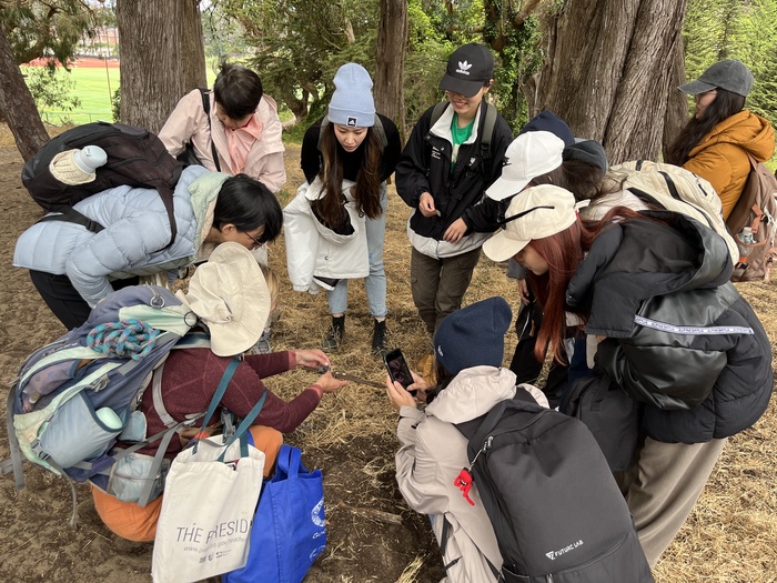 113年國北教大舊金山幼兒教育見習之旅2